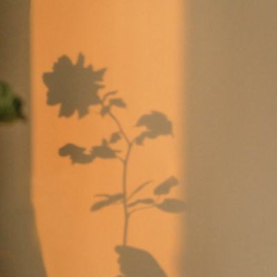 潜伏3vr手机版下载